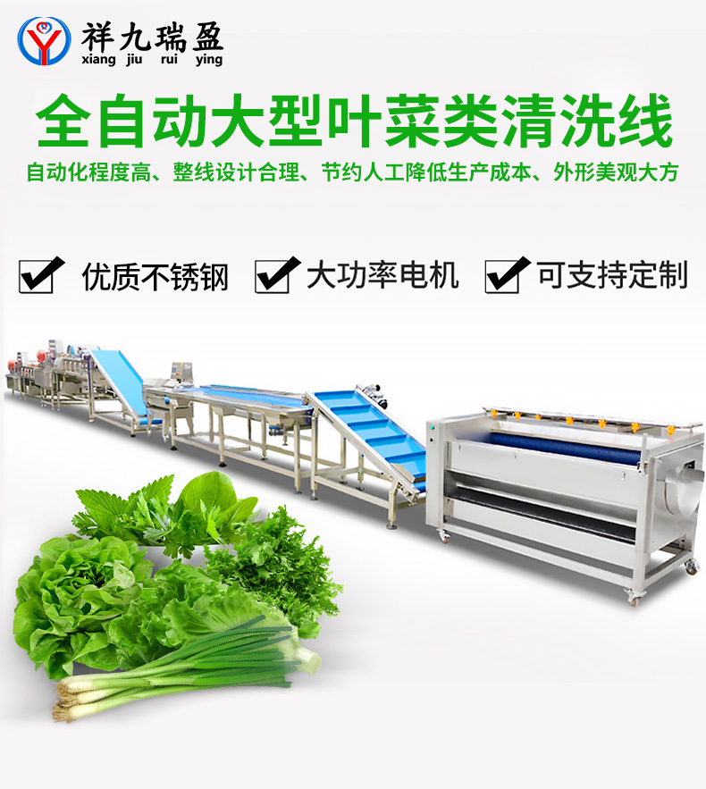 大型葉菜類清洗線生產(chǎn)流程與配套設(shè)備，你知道有多少？
