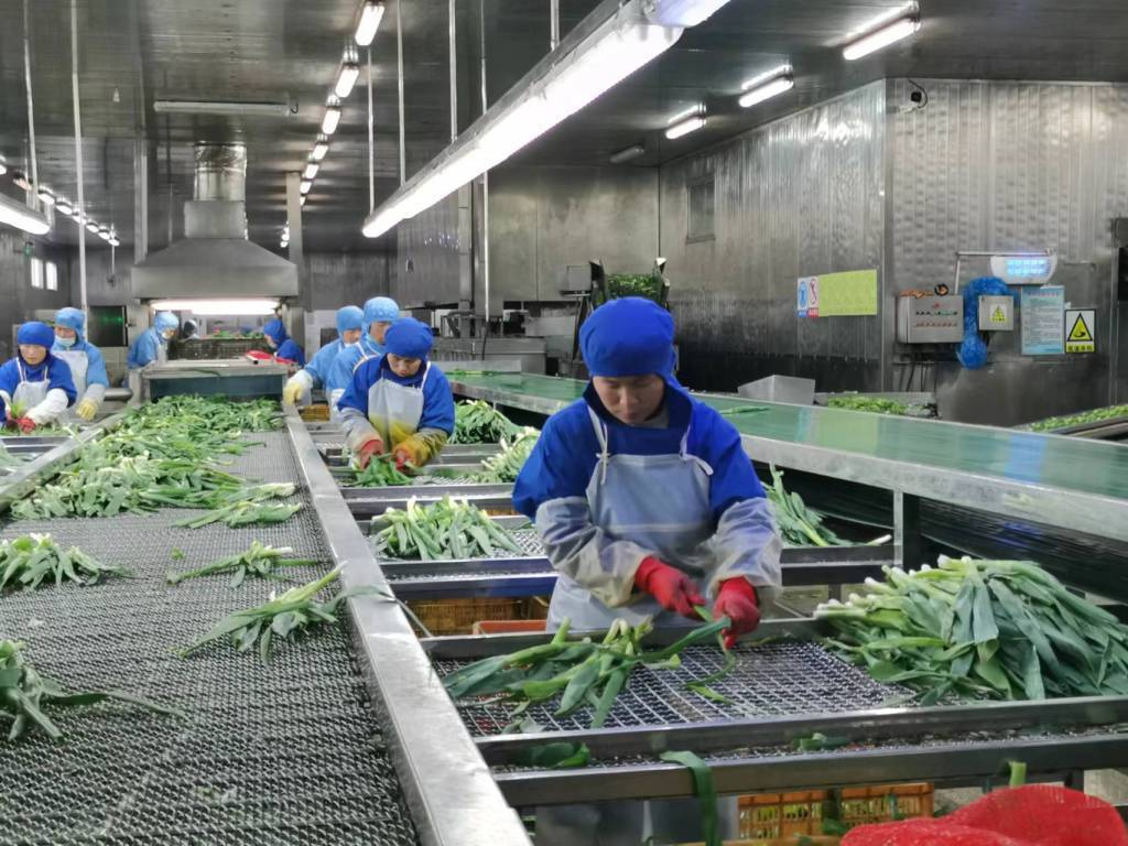 預制菜生產(chǎn)線定制方案與管理控制，如何組建預制菜的加工廠